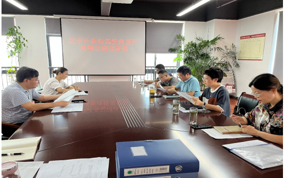 區委審計委到國投集團開展審計整改督查工作